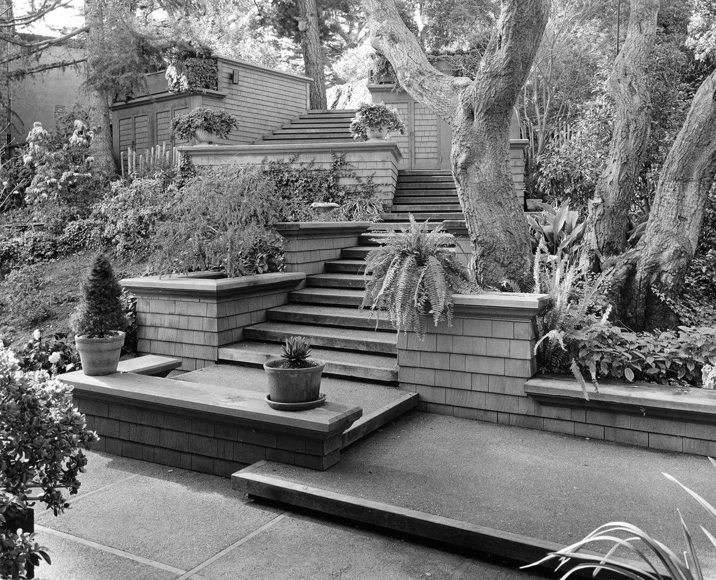 garden with stairs