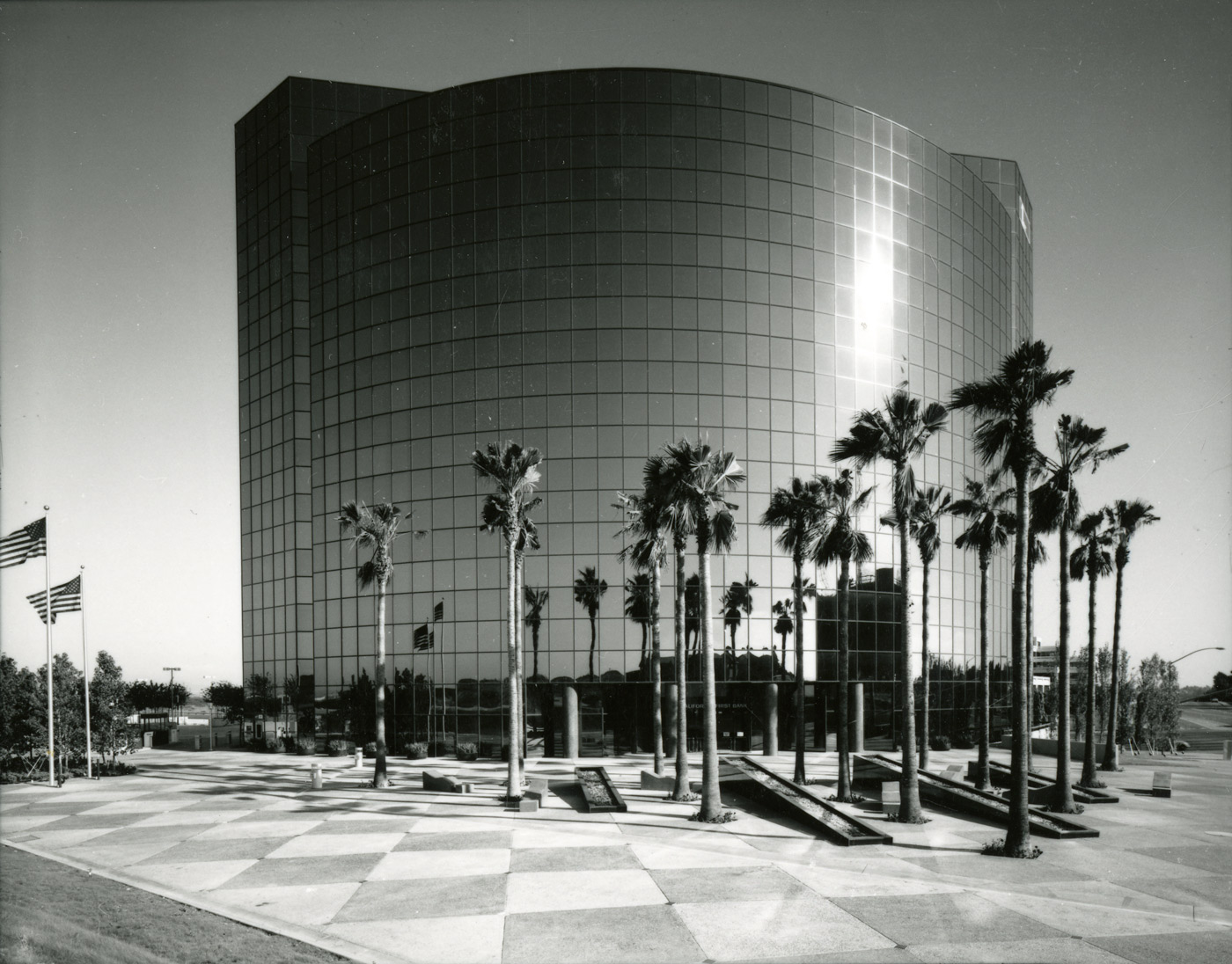 building covered in windows