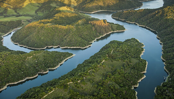 aerial photo of riverways