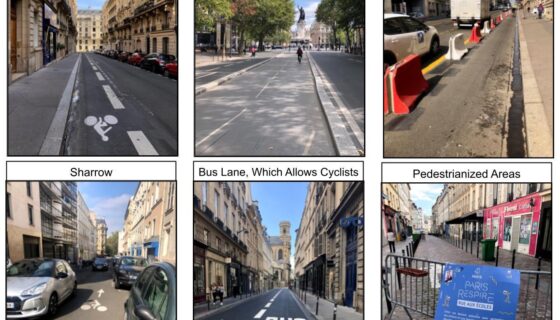 Sharrows, Marked Bus Lanes, and Pedestrianized Areas (bottom row) are excluded from the analyses that follow. All photos by the author.