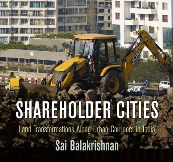 book cover for Shareholder cities