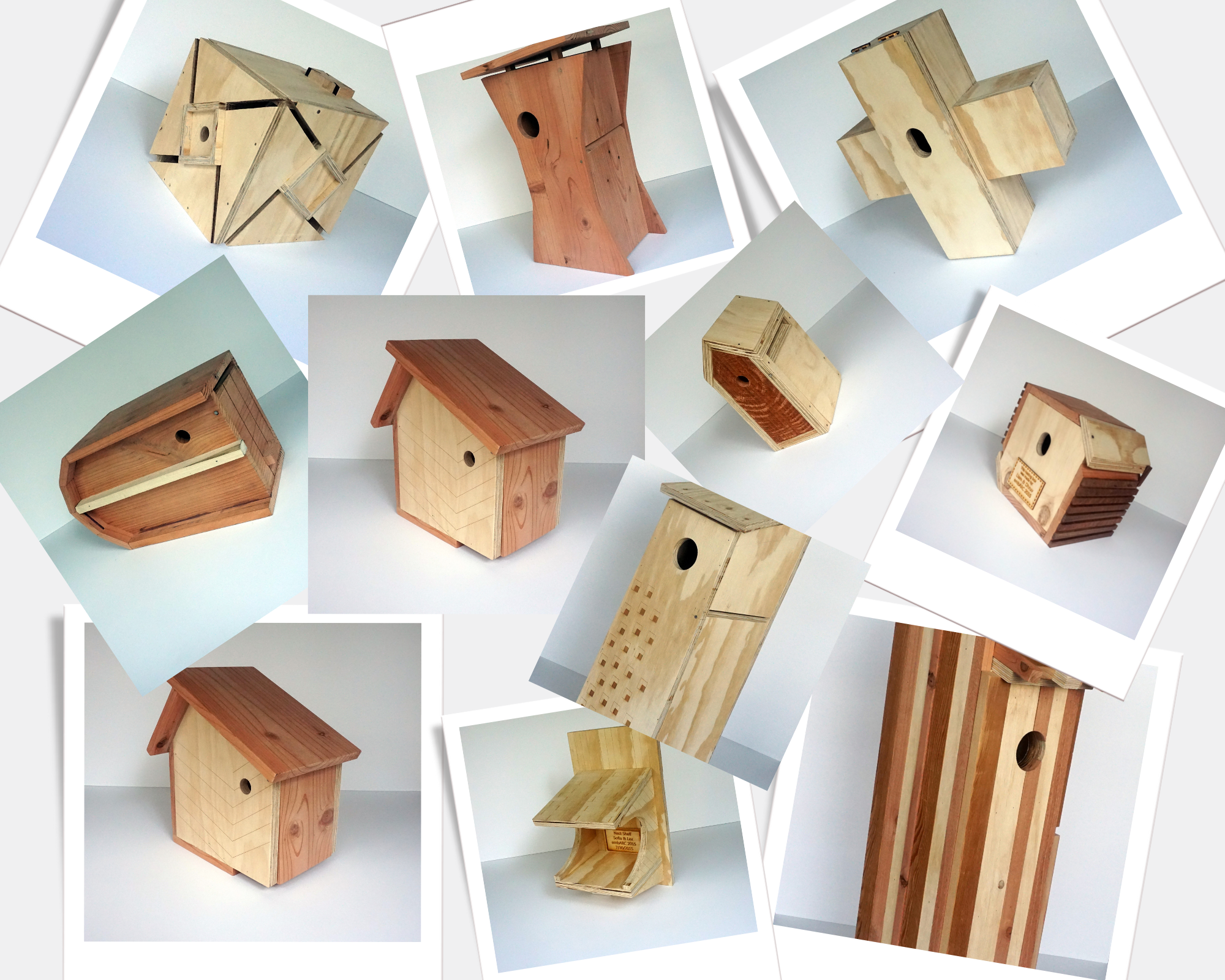 embarc students built bird houses for endangered species
