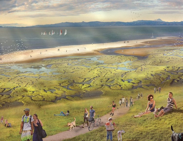 Rendering of a wetland