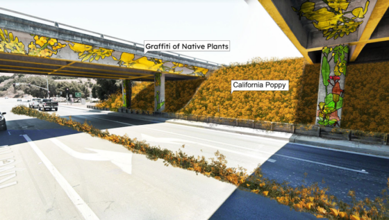 Rendering of Anza Valley underpass showcasing California Poppies and graffiti of native plants