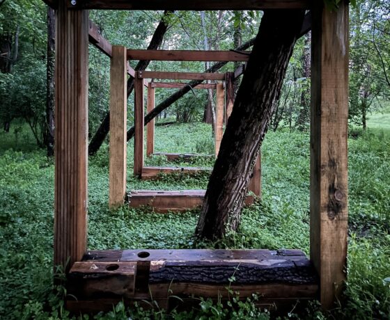Liz Gálvez's From Wood to Tree, showing a wooden structure built in a forest