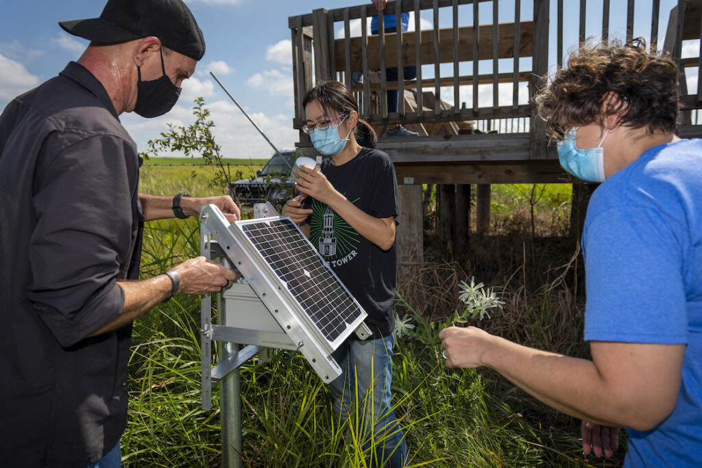 Three researchers installing sensors in a grassy field