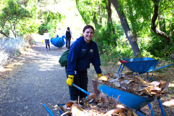 smiling young woman with wheelbarrow full of leaves.