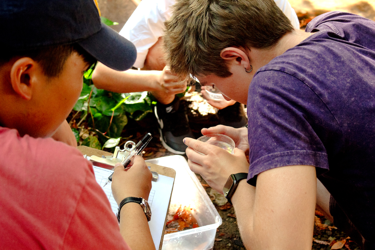 students huddled around Petri dish in an outdoor setting