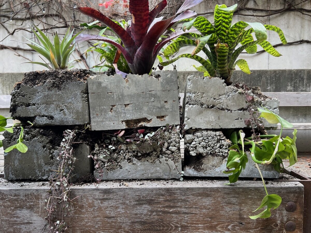 Concrete blocks with plants growing out of them.
