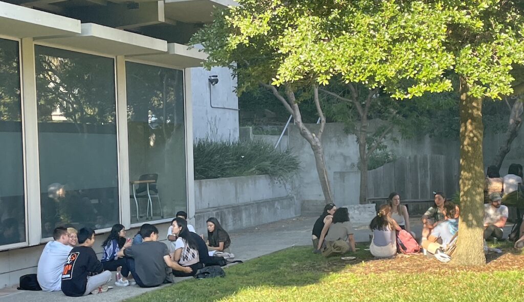 groups of students sitting under tree next to building