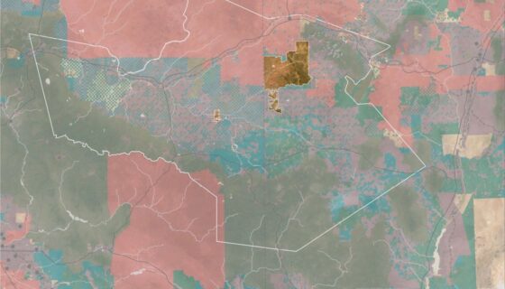 rendering of Zuni Reservation map