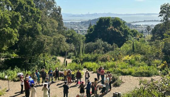 Group in circle at Blake Garden overlooking SF bay