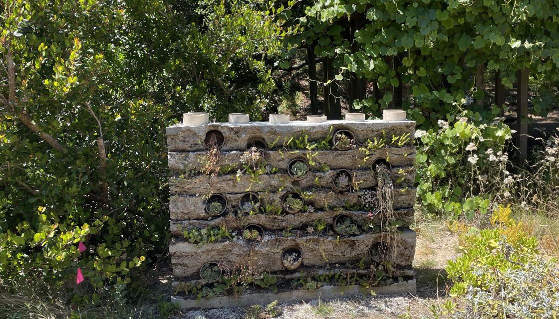 a wall made of rocks with plants and trees