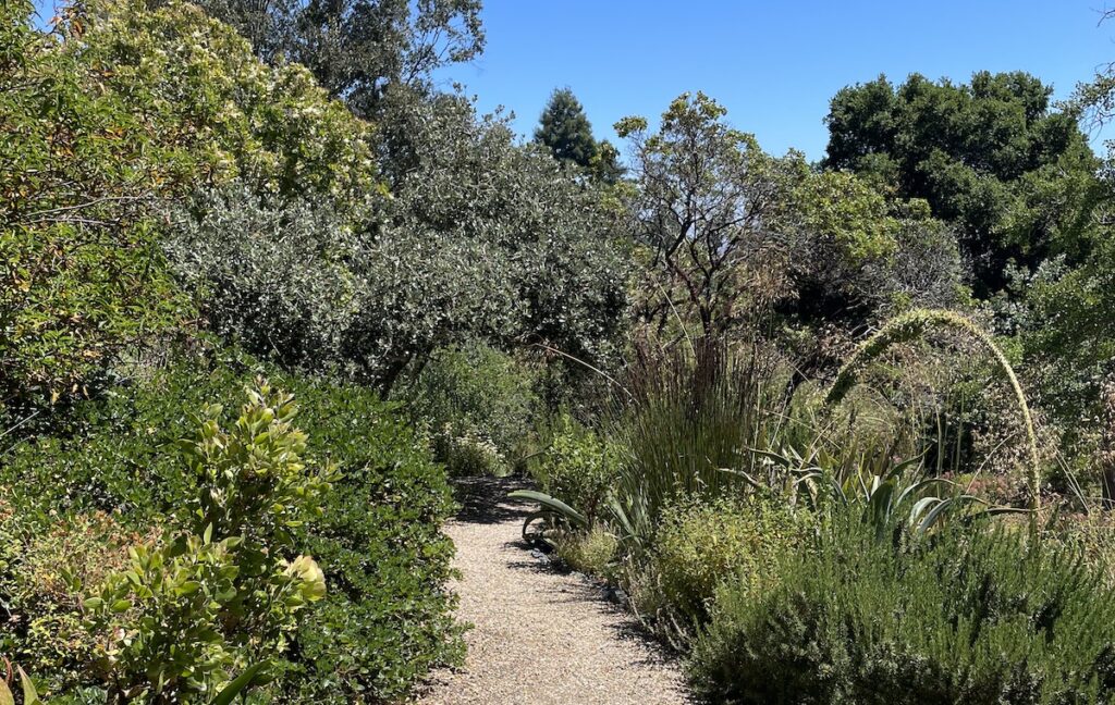 Garden path