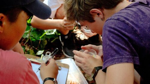 students in garden