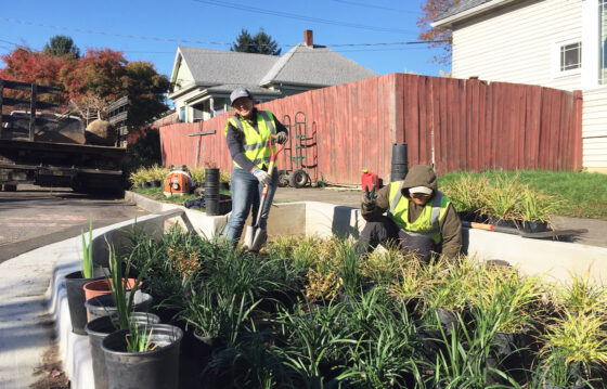 Two people with tools next to buckets of new plants in residential neighborhood, showing climate resilience strategy in Portland, Oregon