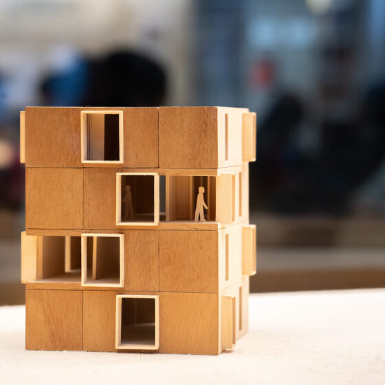 Wood model of housing