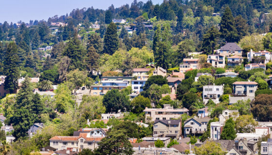 Hillside with houses and trees