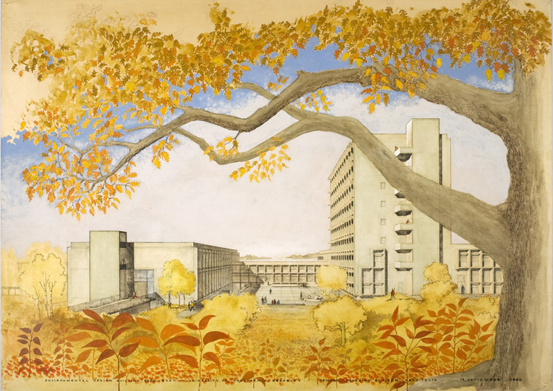 Drawing of building framed by tree and leaves