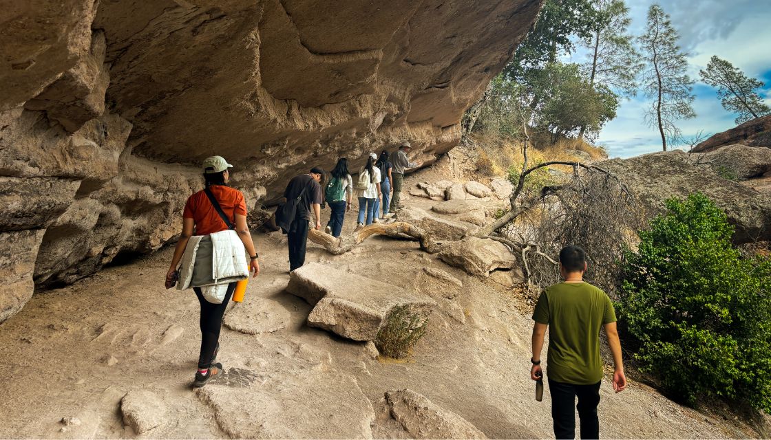 MUD Pinnacles fieldtrip