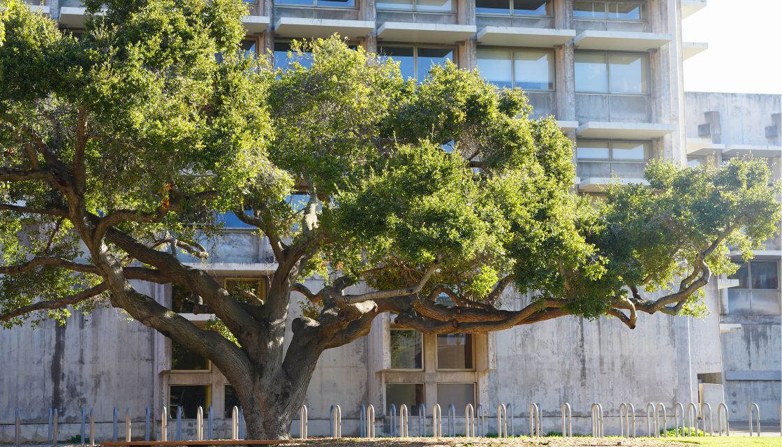Bauer Wurster Hall facade