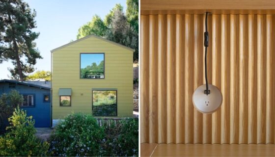 Green House and plug in wooden wall by Andrew Atwood and First Office Architecture